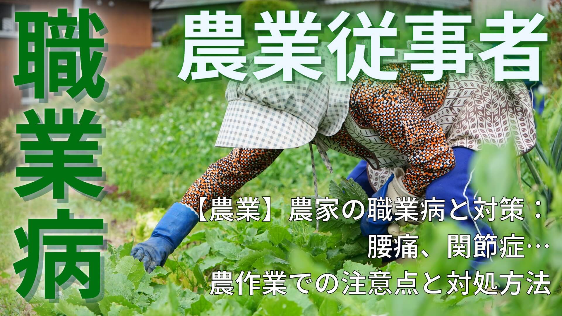 【農業】農家の職業病と対策：腰痛、関節症…農作業での注意点と対処方法